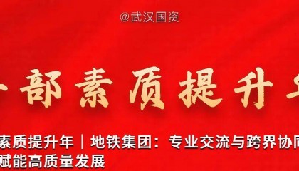 武汉城投集团驻西藏办事处正式揭牌成立