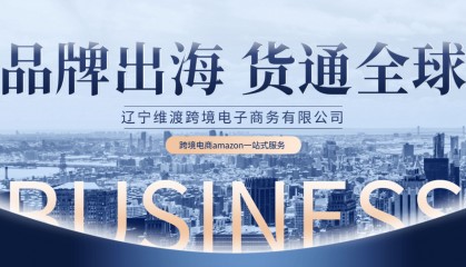 沈阳跨境电商新手怎么入门?