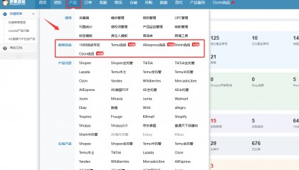 新手必看!跨境电商怎么做新手入门全流程指南