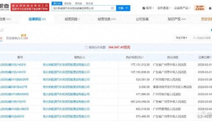 恒大汽车及恒大集团等被执行2.8亿