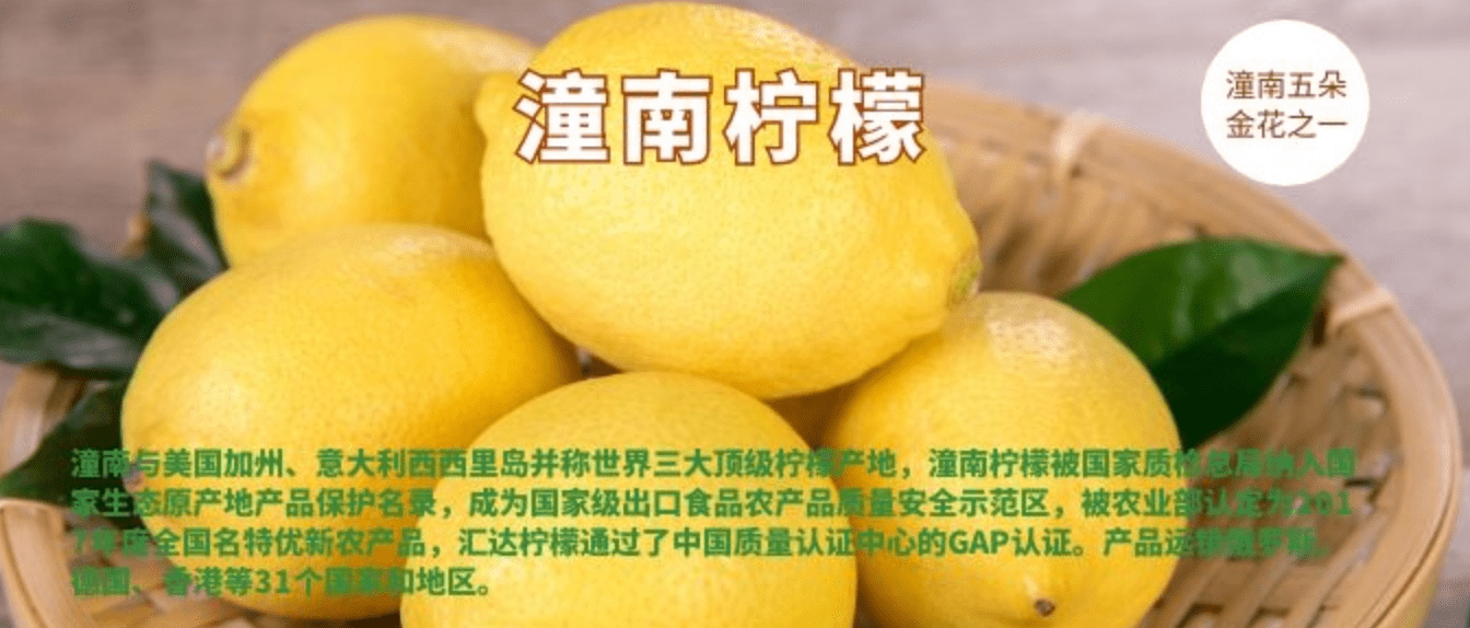 农币网(脓鼻涕是细菌感染还是病毒感染)