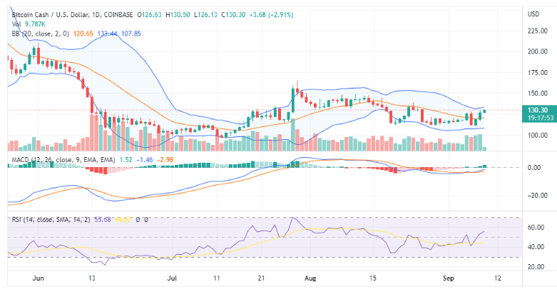 BCH(bch是什么币) BCH(bch是什么币)