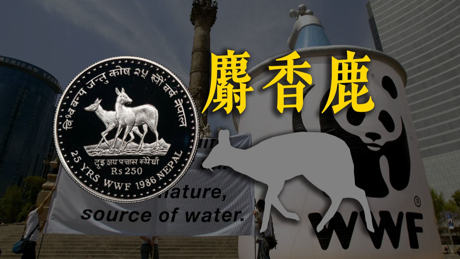 鹿币(鹿五笔怎么打)