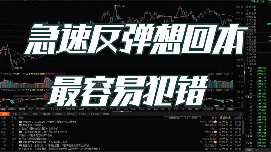 抄币吧(炒币暴富倾家荡产)