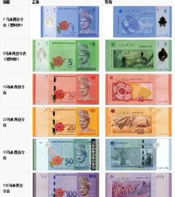 全币(全币种国际信用卡是什么意思) 全币(全币种国际信用卡是什么意思)