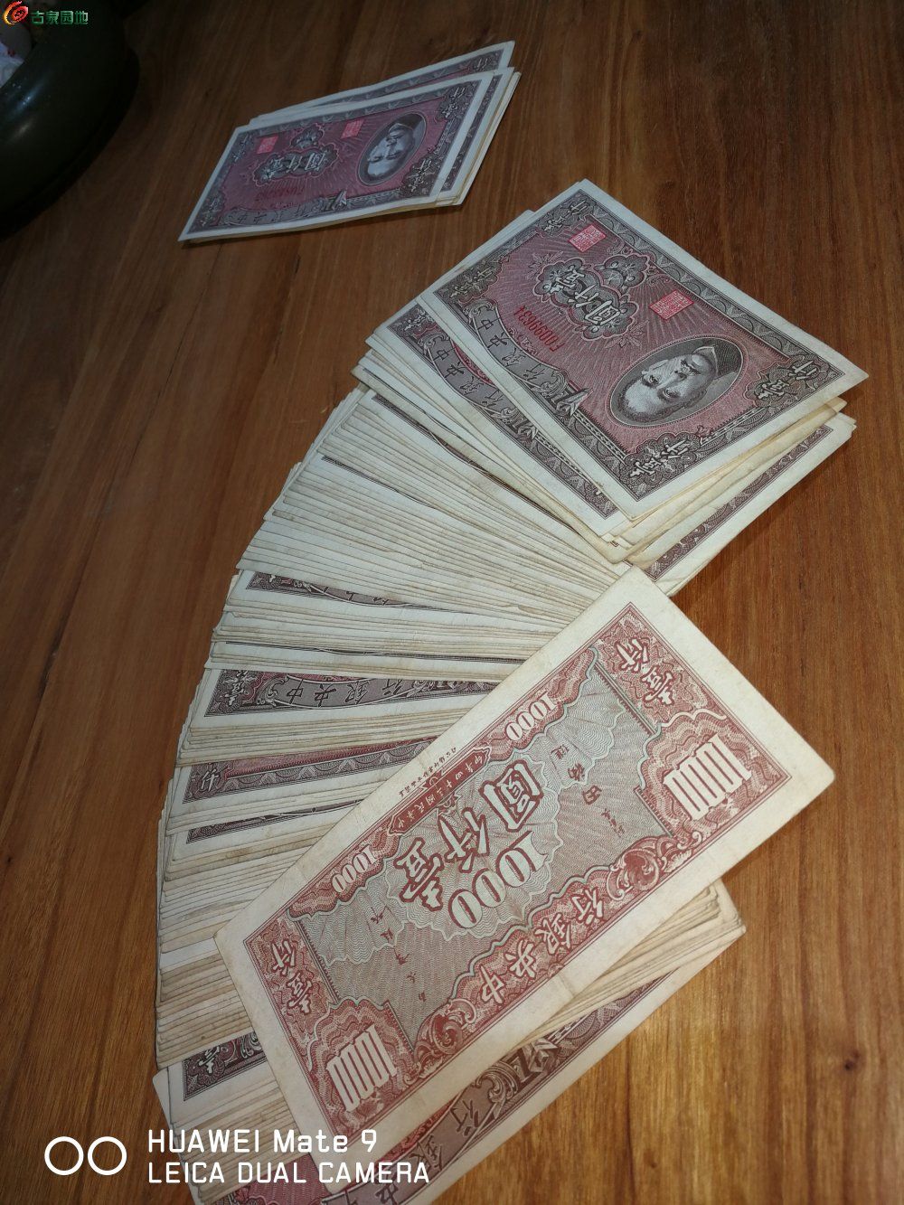 法币1000(法币1000元值多少钱)