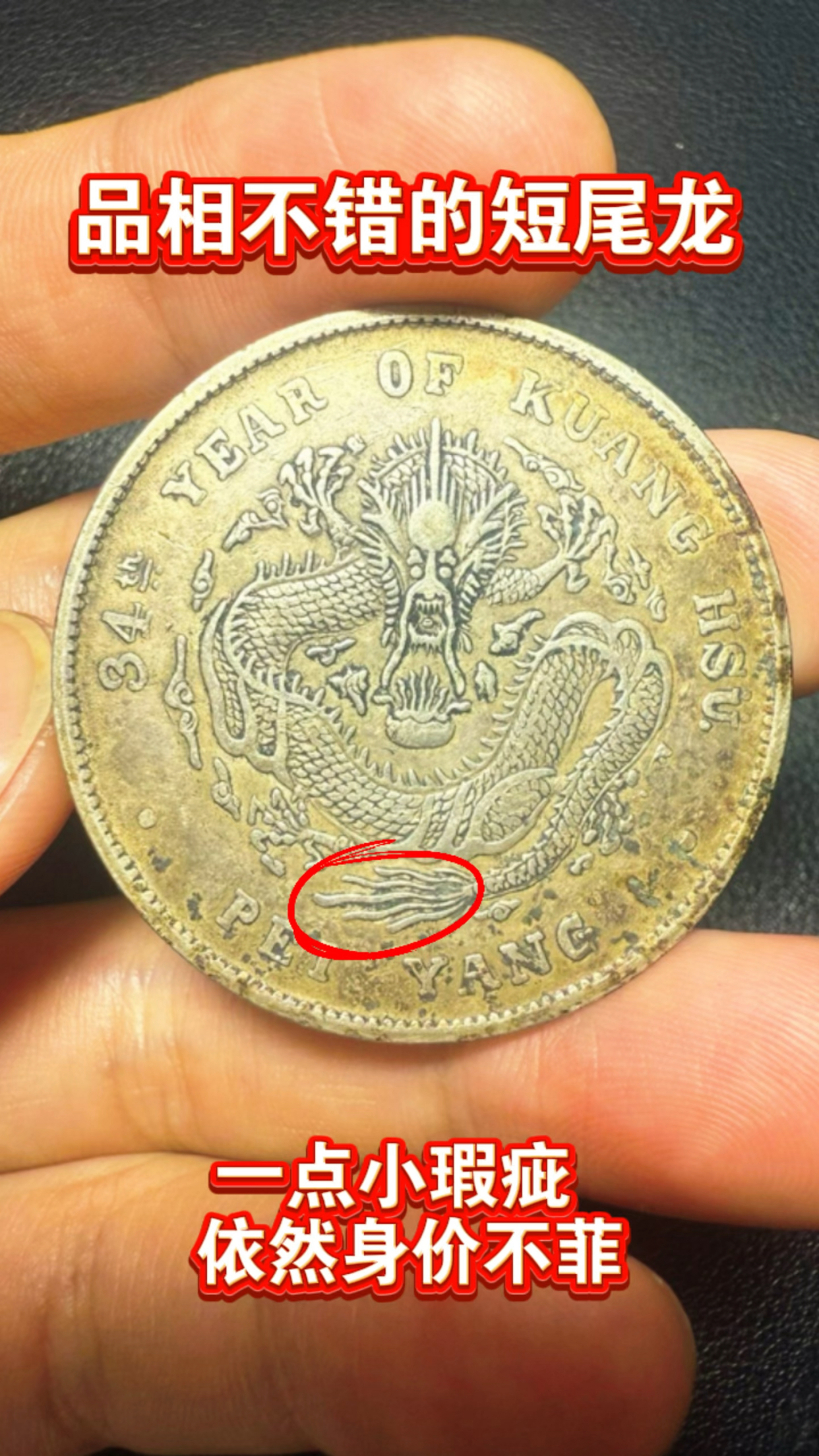 龙洋币(龙洋币最贵的34年长尾龙)