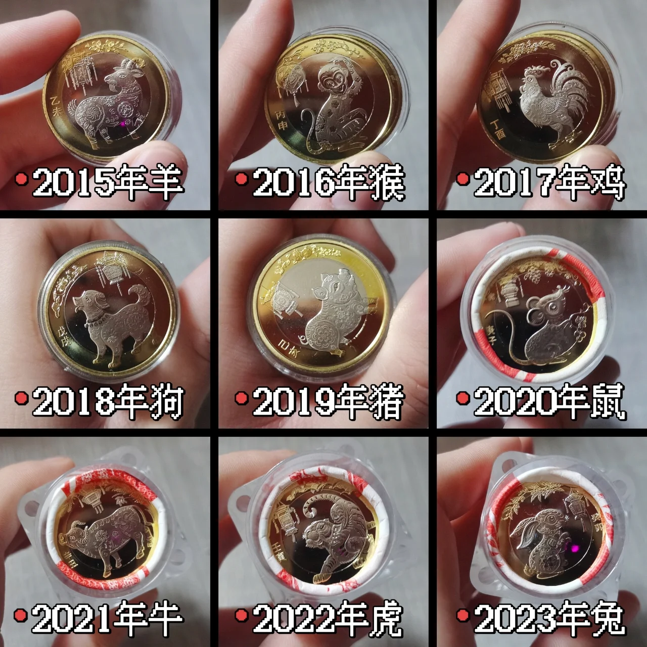 兔币(兔币是什么意思)