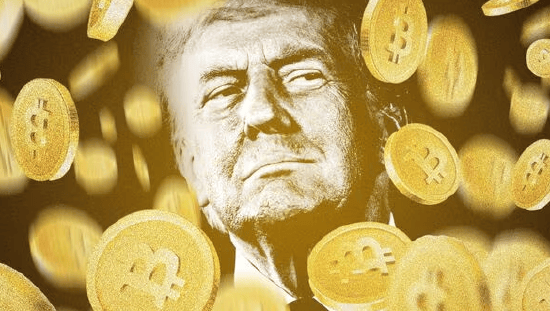 持币(持币地址减少意味着什么)