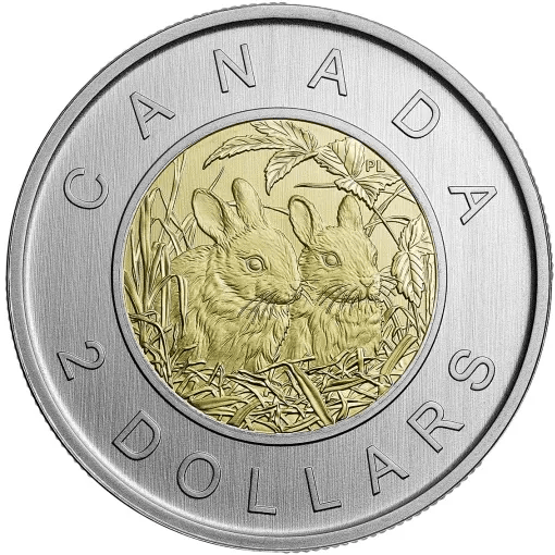 币看(币看官网app下载苹果版)