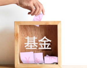 专项基金(专项基金最低规模要求) 专项基金(专项基金最低规模要求)