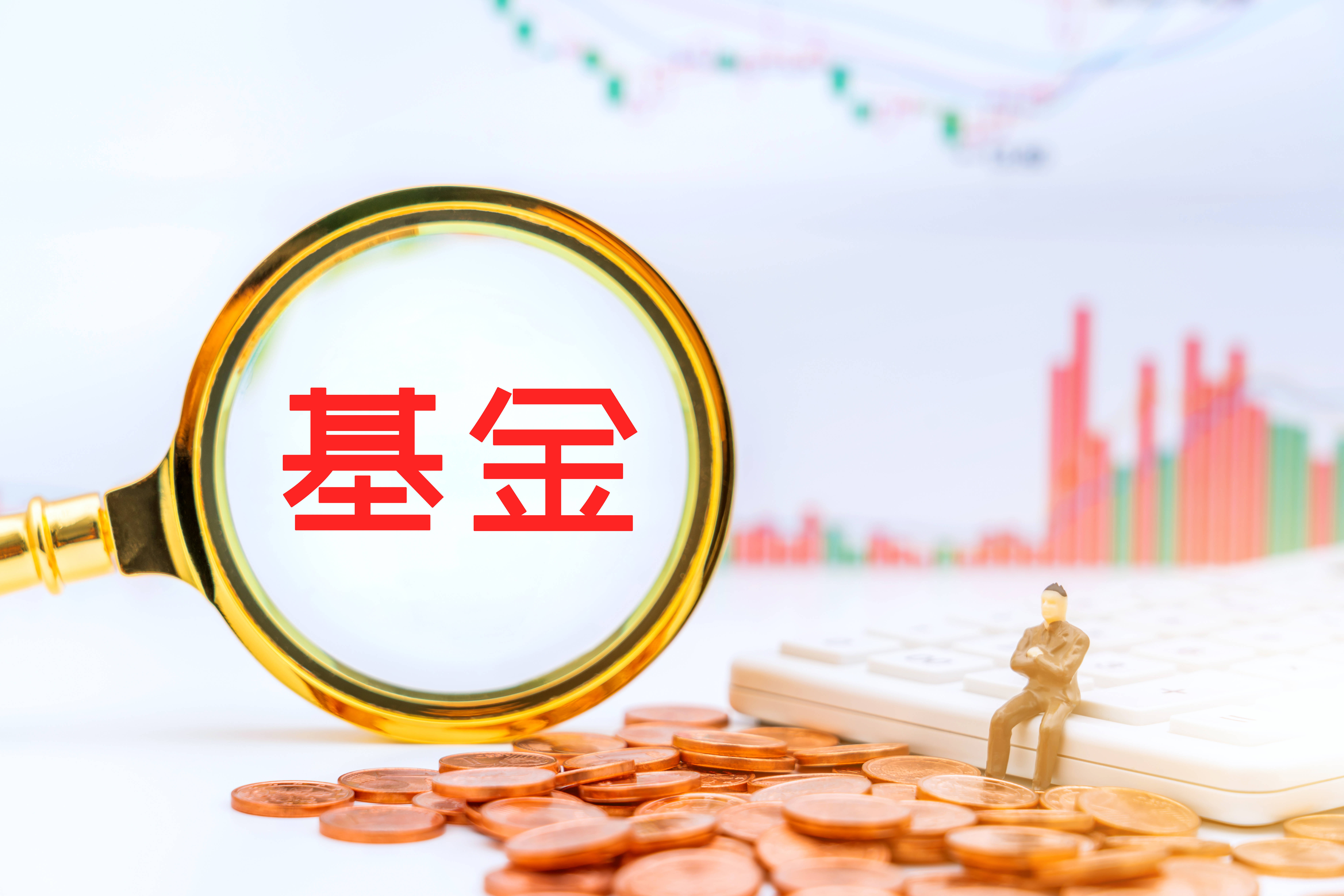 什么是基金(什么是基金支付)